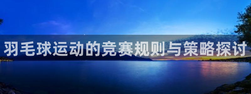 羽毛球运动的竞赛规则与策略探讨