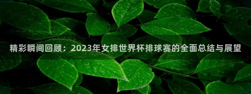 精彩瞬间回顾：2023年女排世界杯排