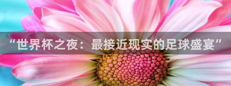 “世界杯之夜：最接近现实的足球盛宴”