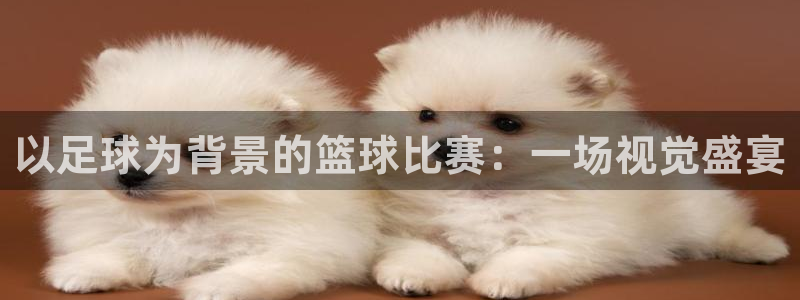以足球为背景的篮球比赛：一场视觉盛宴