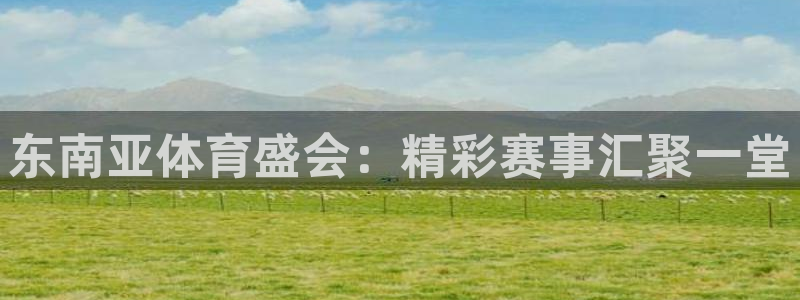 东南亚体育盛会：精彩赛事汇聚一堂