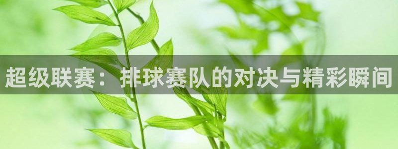 超级联赛：排球赛队的对决与精彩瞬间