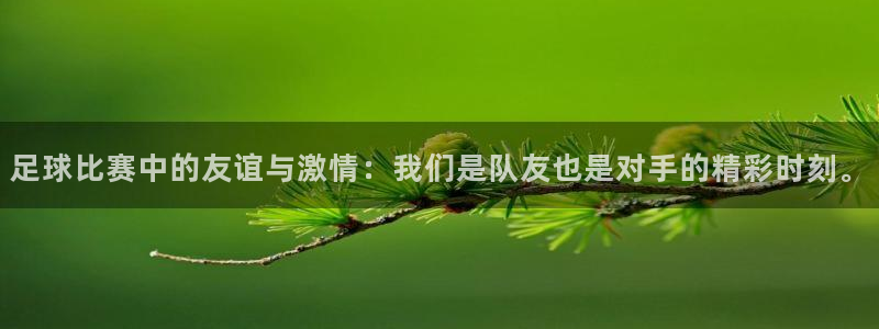 足球比赛中的友谊与激情：我们是队友也
