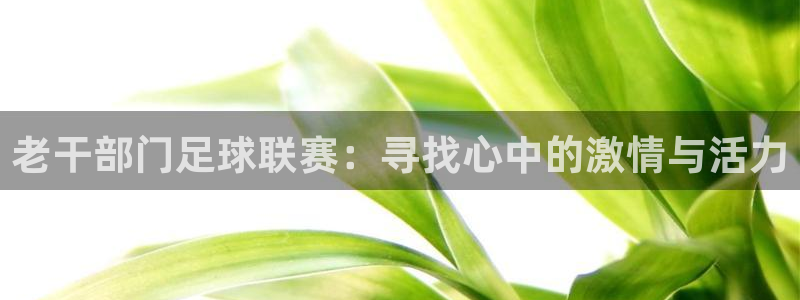 老干部门足球联赛：寻找心中的激情与活