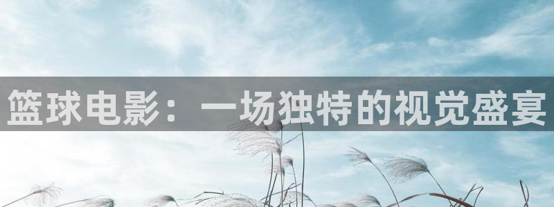  篮球电影：一场独特的视觉盛宴