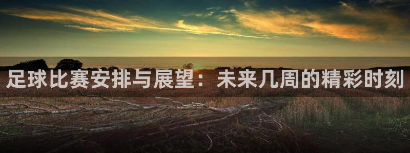 足球比赛安排与展望：未来几周的精彩时