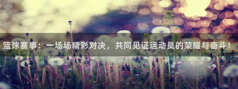 星空·综合体育官网入口：篮球赛事：一