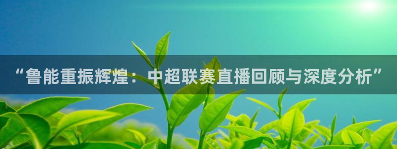 天空体育赛后评分：“鲁能重振辉煌：中超联赛直播回顾与深度分析