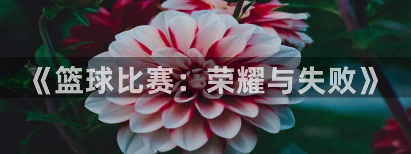 星空体育综合：《篮球比赛：荣耀与失败》