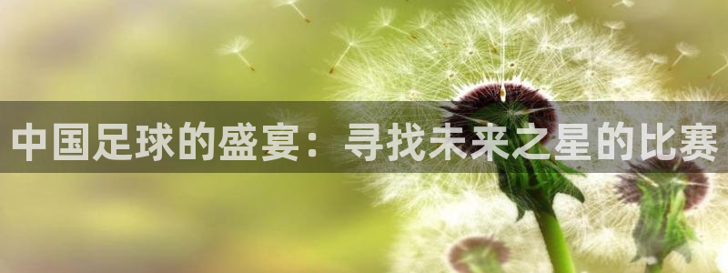 星体体育：中国足球的盛宴：寻找未来之
