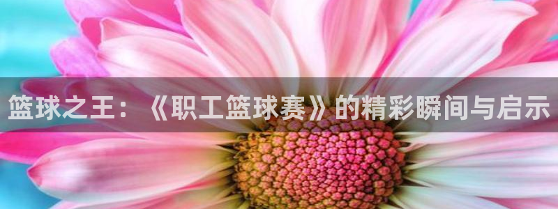 星空体育最新地址：篮球之王：《职工篮