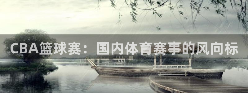  体育星空：CBA篮球赛：国内体育赛事的风向标
