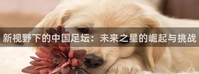 天空体育英超宣传片：新视野下的中国足