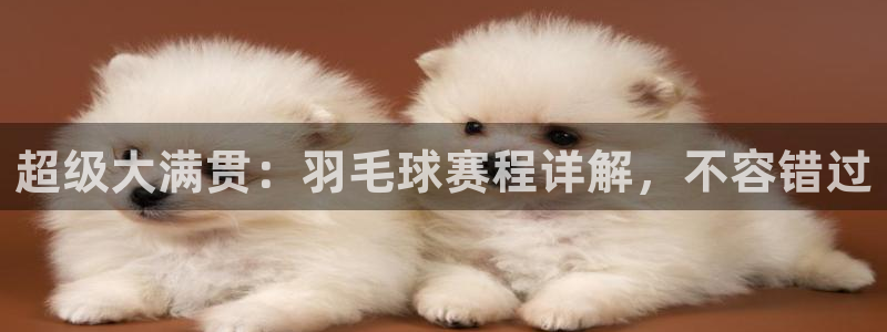  天空体育是曼联的吗：超级大满贯：羽毛球赛程详解，不容错过