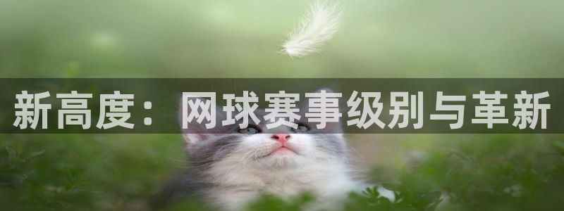 星空体育官网入口：新高度：网球赛事级