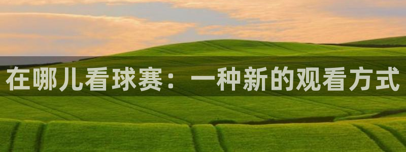 天空体育评选历史最佳：在哪儿看球赛：