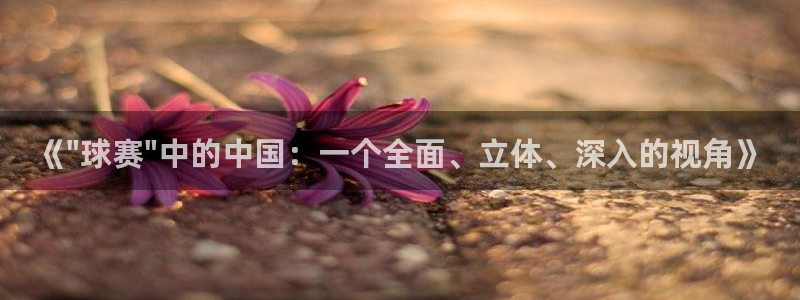 laura woods 天空体育：《